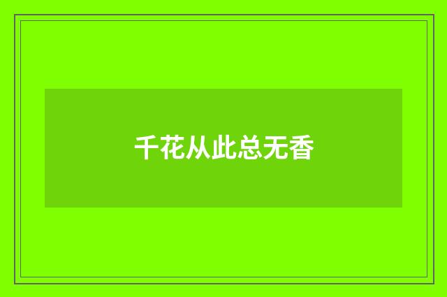 千花从此总无香