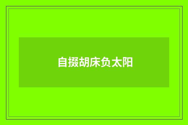 自掇胡床负太阳