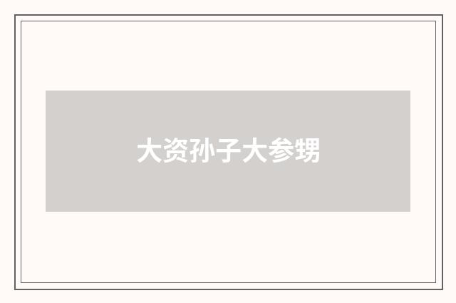 大资孙子大参甥