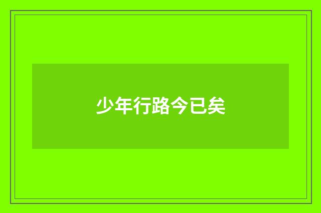 少年行路今已矣