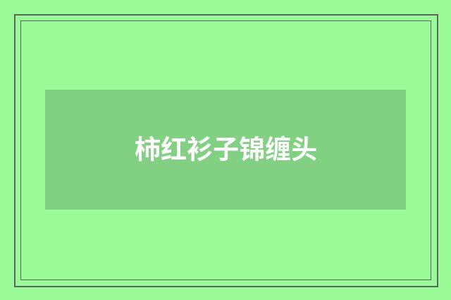 柿红衫子锦缠头