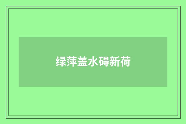 绿萍盖水碍新荷
