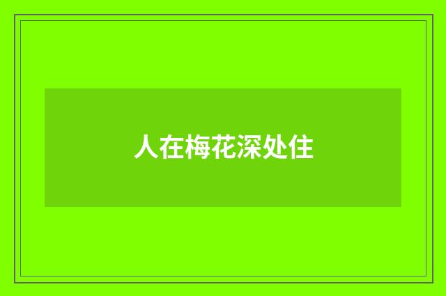 人在梅花深处住
