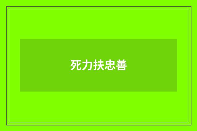 死力扶忠善