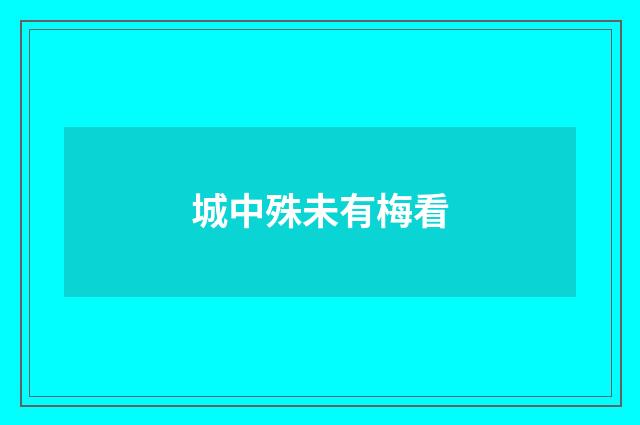 城中殊未有梅看