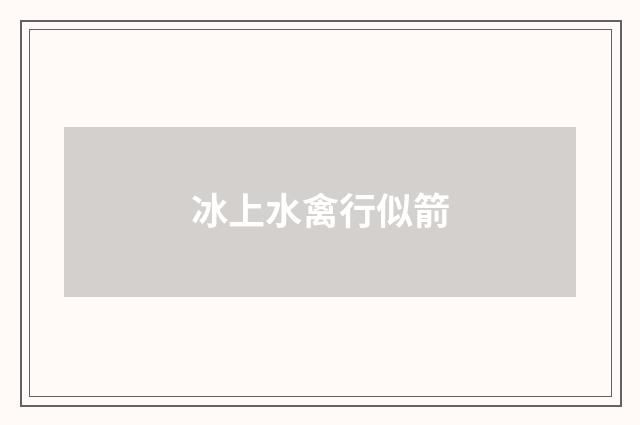 冰上水禽行似箭