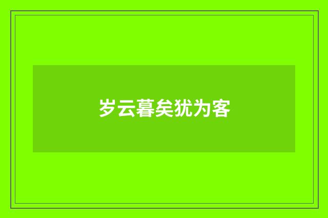 岁云暮矣犹为客