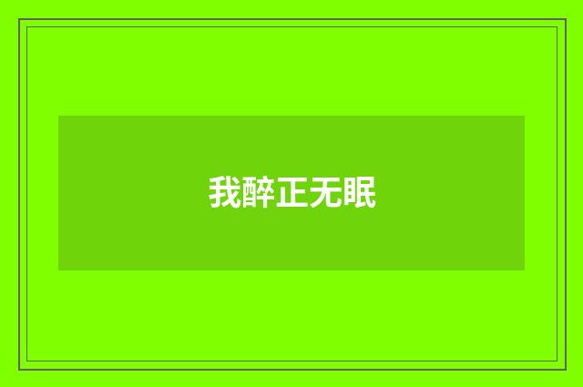 我醉正无眠