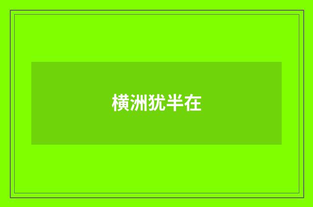横洲犹半在