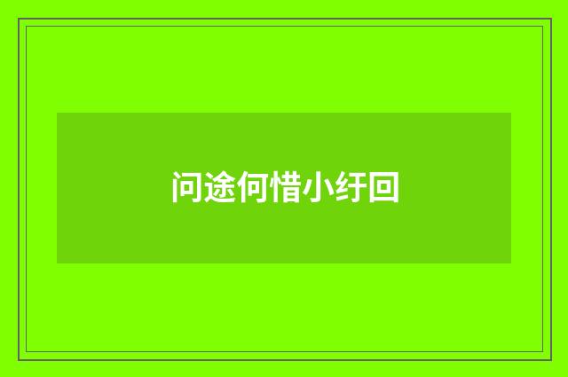 问途何惜小纡回