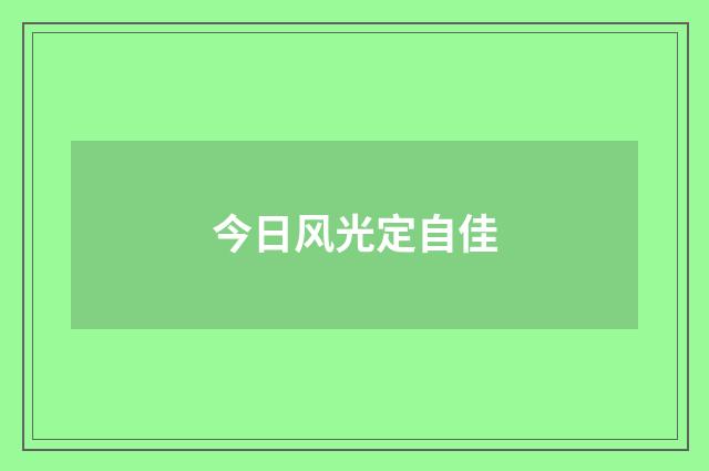 今日风光定自佳