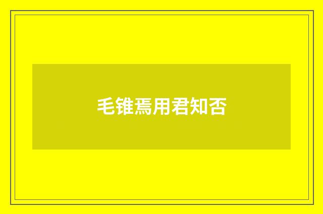 毛锥焉用君知否