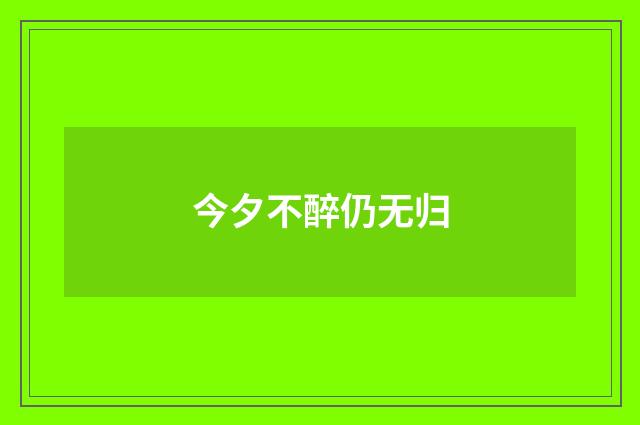 今夕不醉仍无归