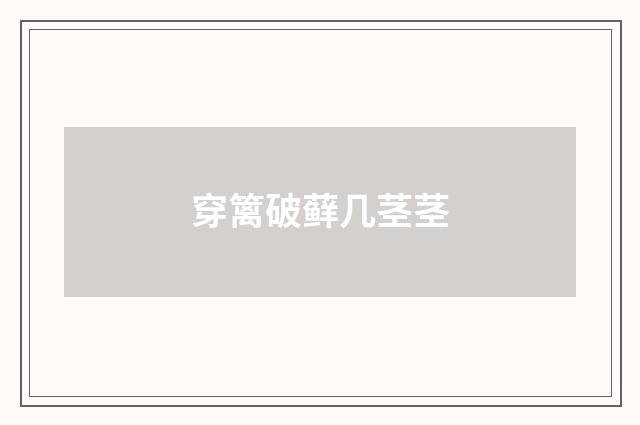 穿篱破藓几茎茎