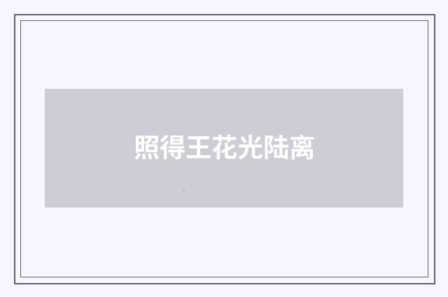 照得王花光陆离