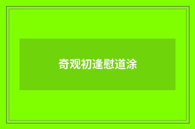 奇观初逢慰道涂