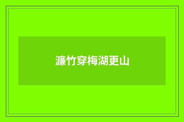 濂竹穿梅湖更山