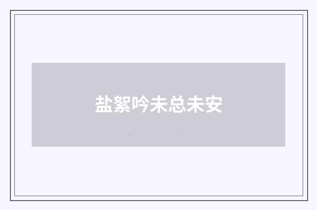 盐絮吟未总未安