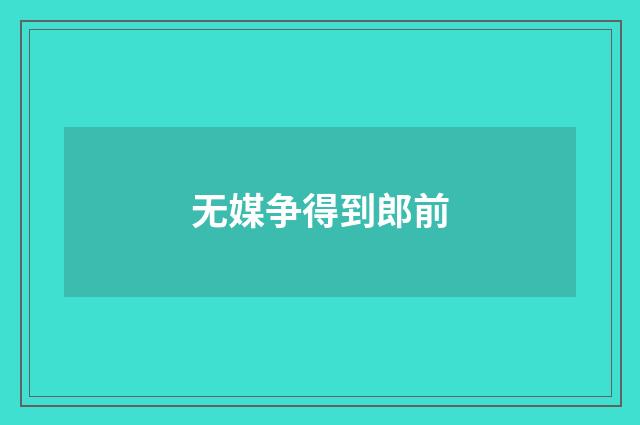 无媒争得到郎前
