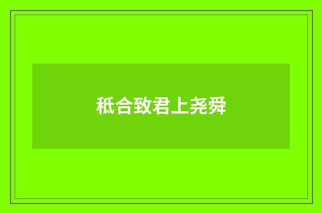 秪合致君上尧舜