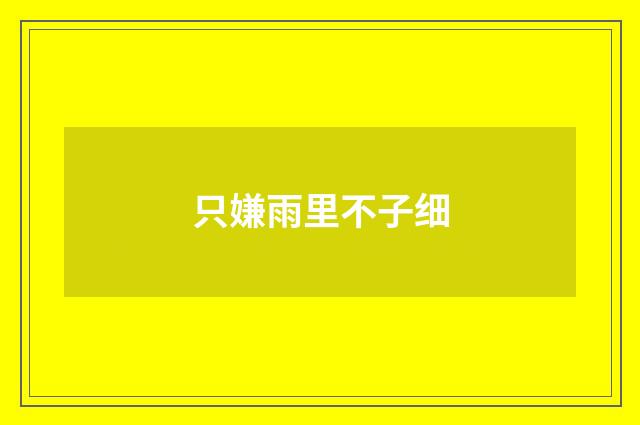 只嫌雨里不子细