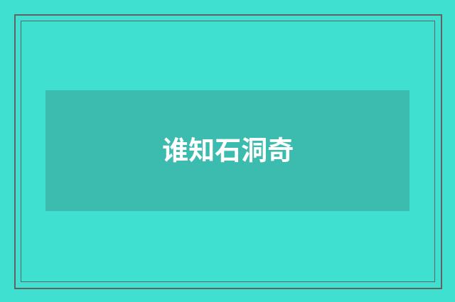 谁知石洞奇