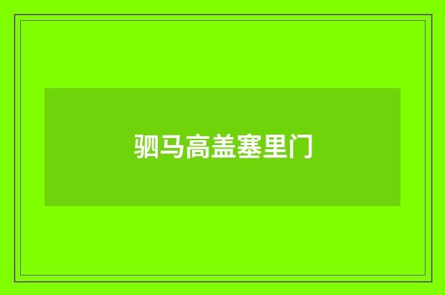驷马高盖塞里门