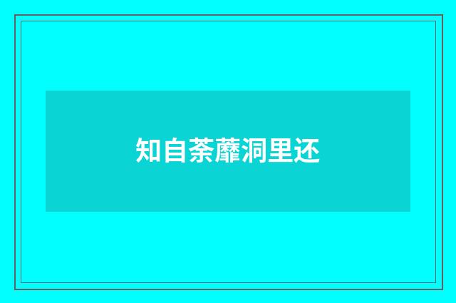 知自荼蘼洞里还