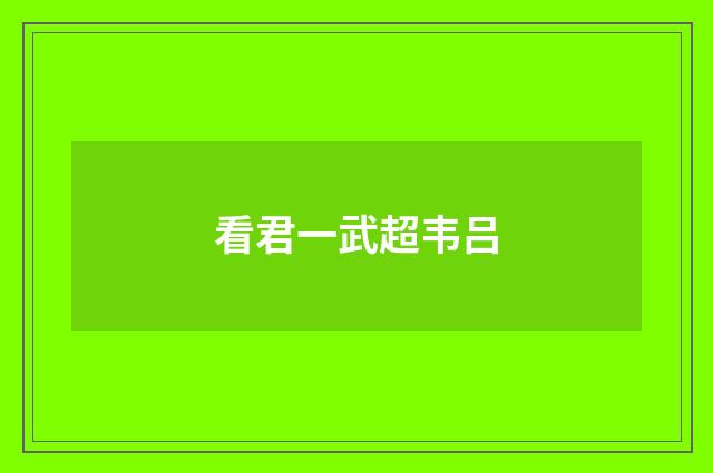 看君一武超韦吕