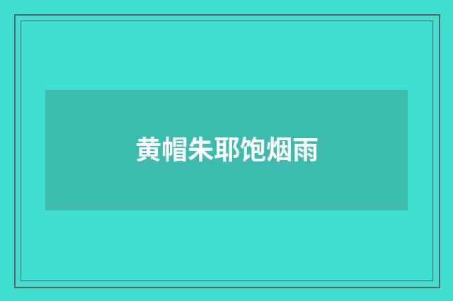 黄帽朱耶饱烟雨