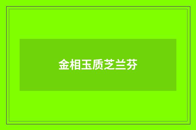 金相玉质芝兰芬