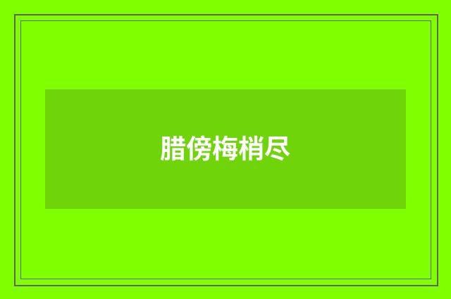 腊傍梅梢尽