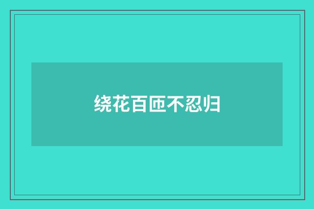 绕花百匝不忍归