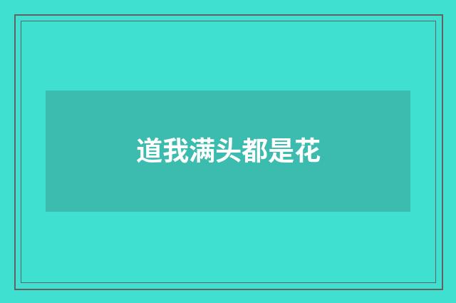 道我满头都是花