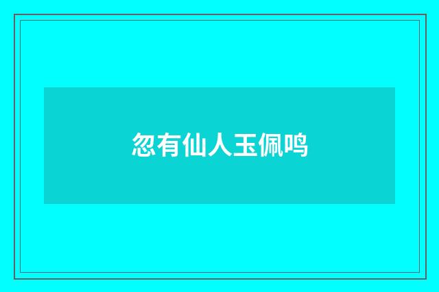 忽有仙人玉佩鸣