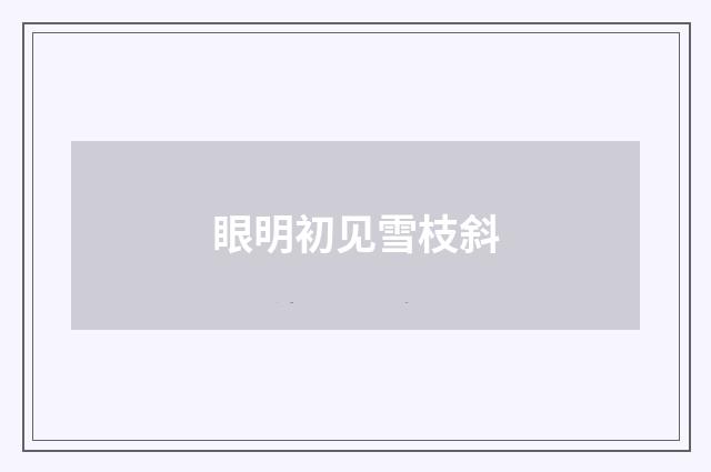 眼明初见雪枝斜