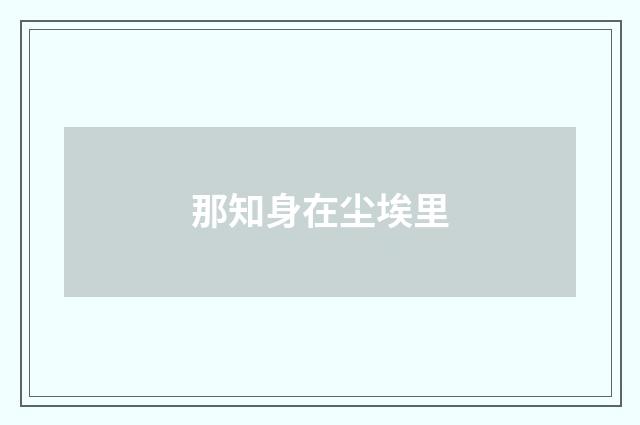 那知身在尘埃里