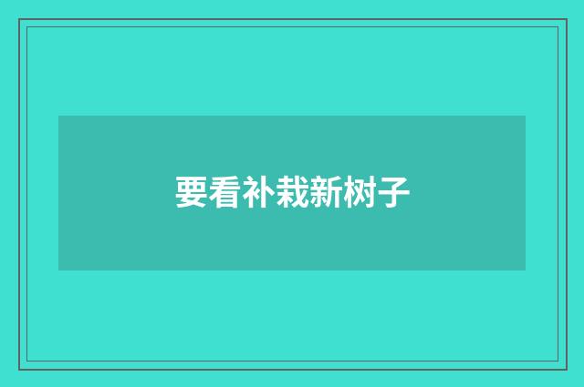 要看补栽新树子