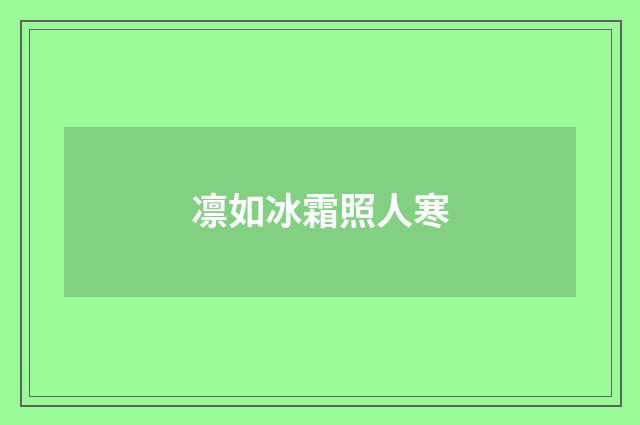 凛如冰霜照人寒