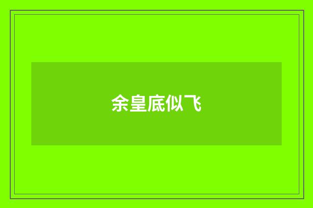 余皇底似飞