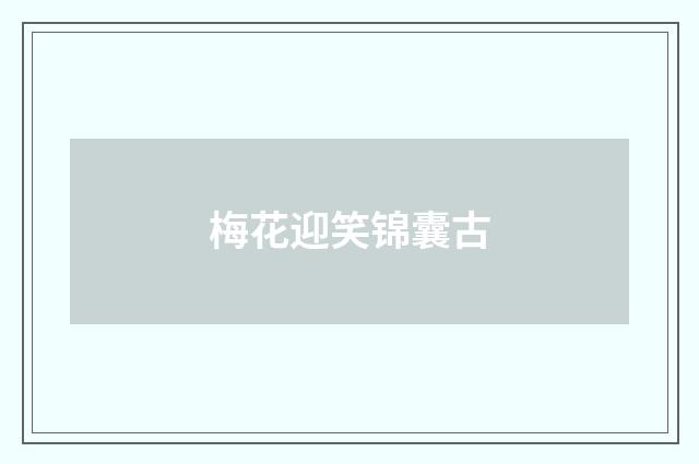 梅花迎笑锦囊古