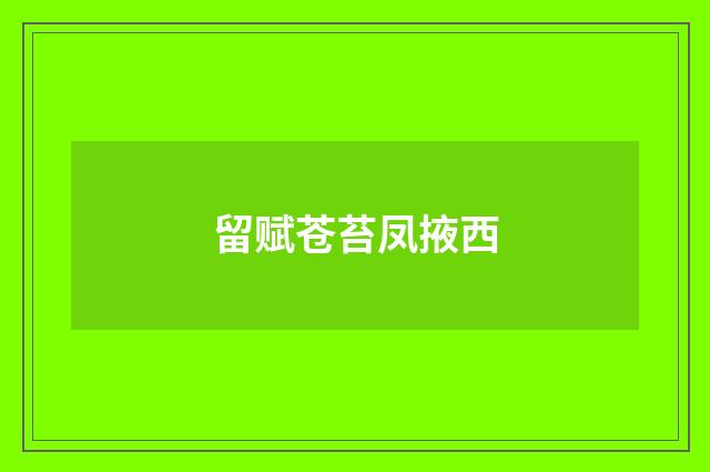留赋苍苔凤掖西