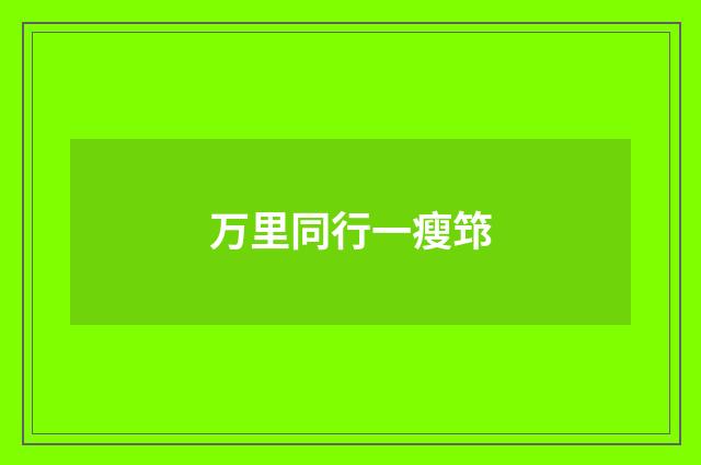 万里同行一瘦筇