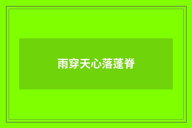 雨穿天心落蓬脊