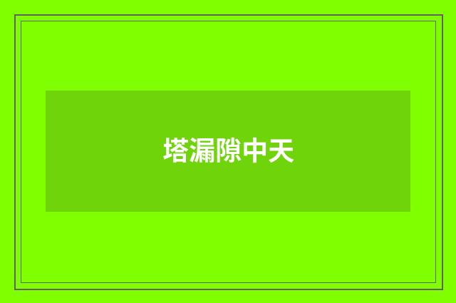 塔漏隙中天