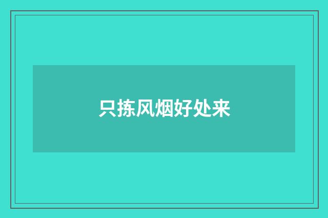 只拣风烟好处来