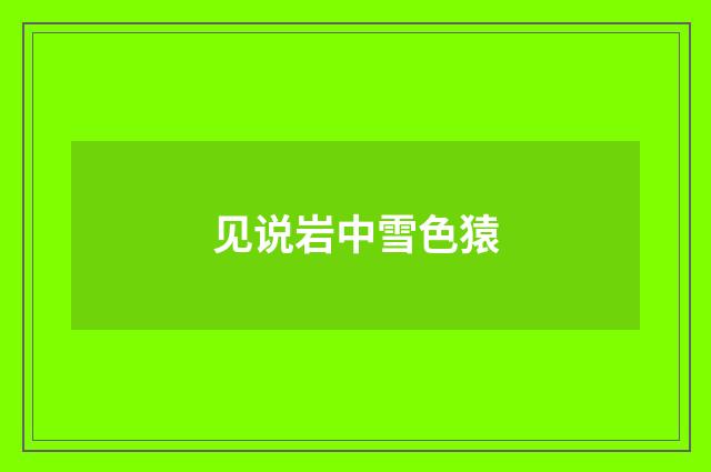 见说岩中雪色猿