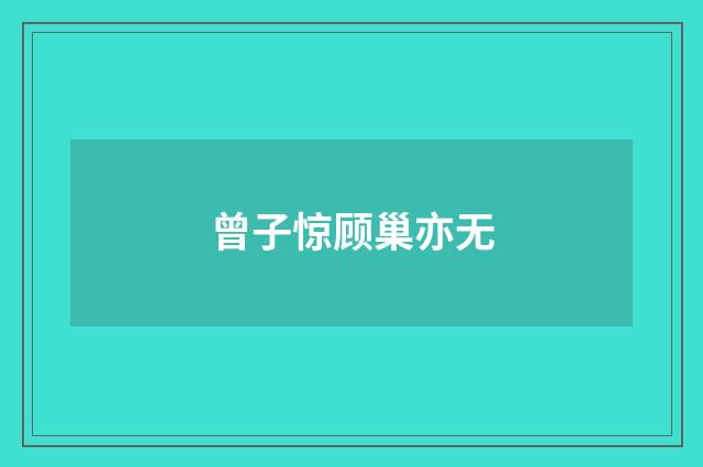 曾子惊顾巢亦无
