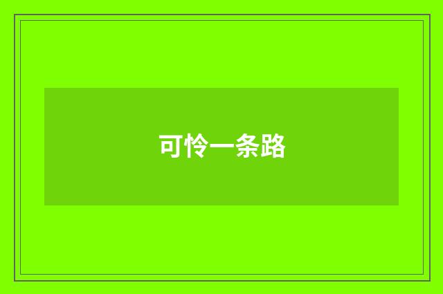 可怜一条路