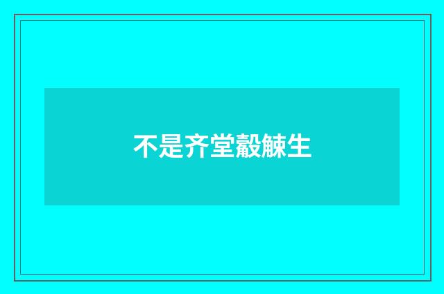 不是齐堂觳觫生